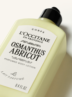 Osmanthus Abricot testápoló (Osmanthus)