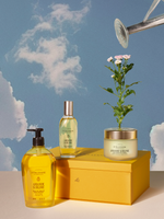 Kedvezményes árú szett - Amande Sublime (Mandula) trió