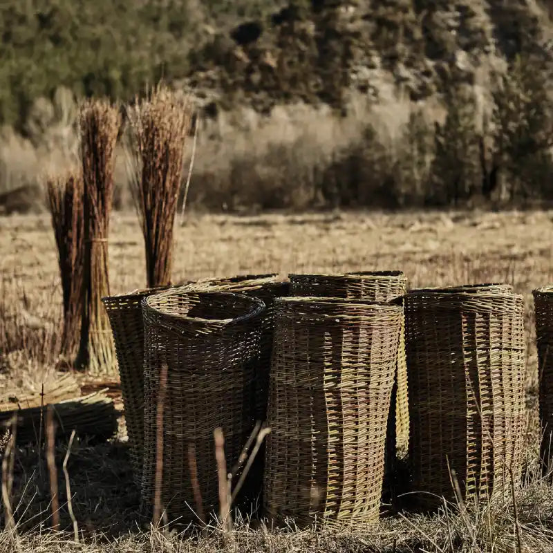 Új projektek kialakítása a provence-i értékek megosztására