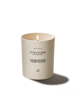 Verveine gyertya (Verbéna)