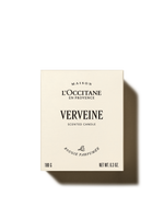 Verveine gyertya (Verbéna)