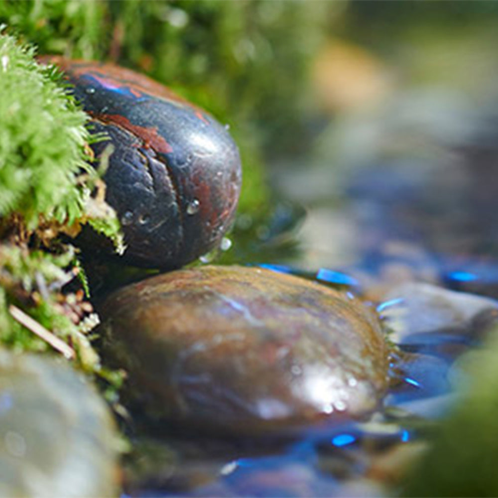 Mit jelent az, hogy B Corp™ tanúsítvánnyal rendelkezünk?