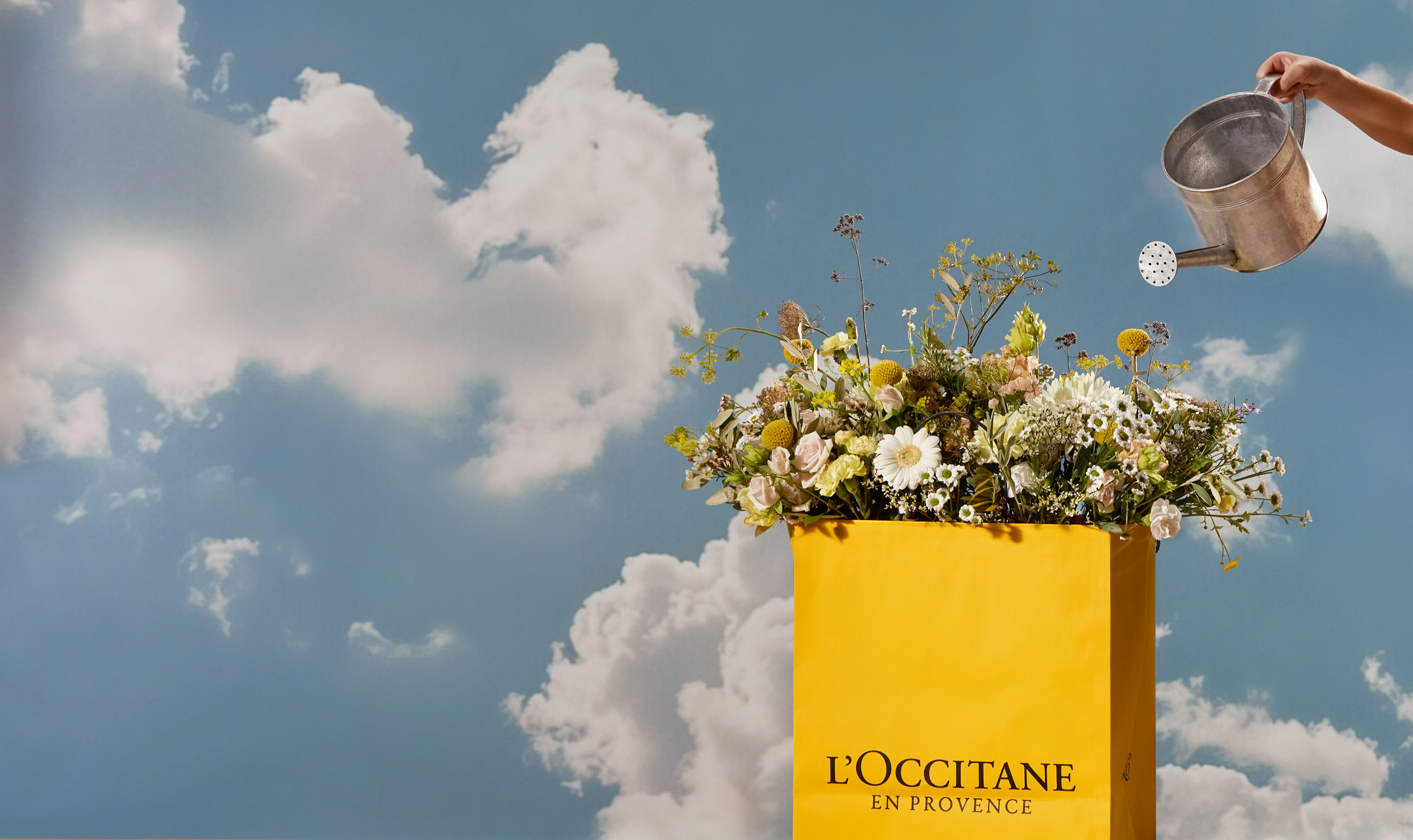 Image banner desktop