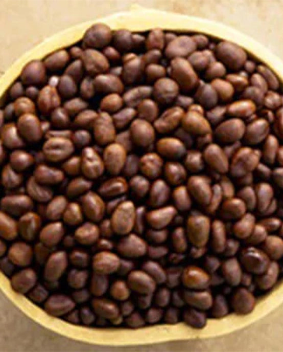 Image-text-3