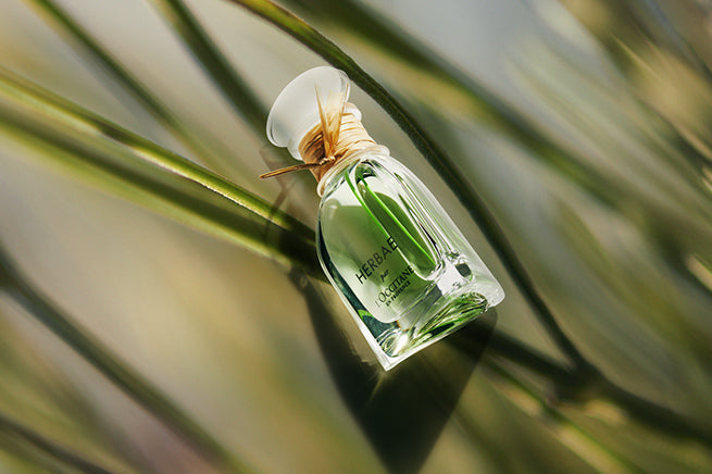 Herbae par L’OCCITANE L’Eau