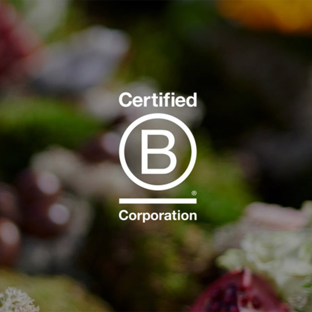 Ez még csak a kezdet