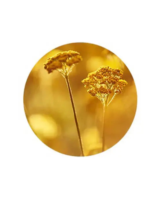 Image-text-3