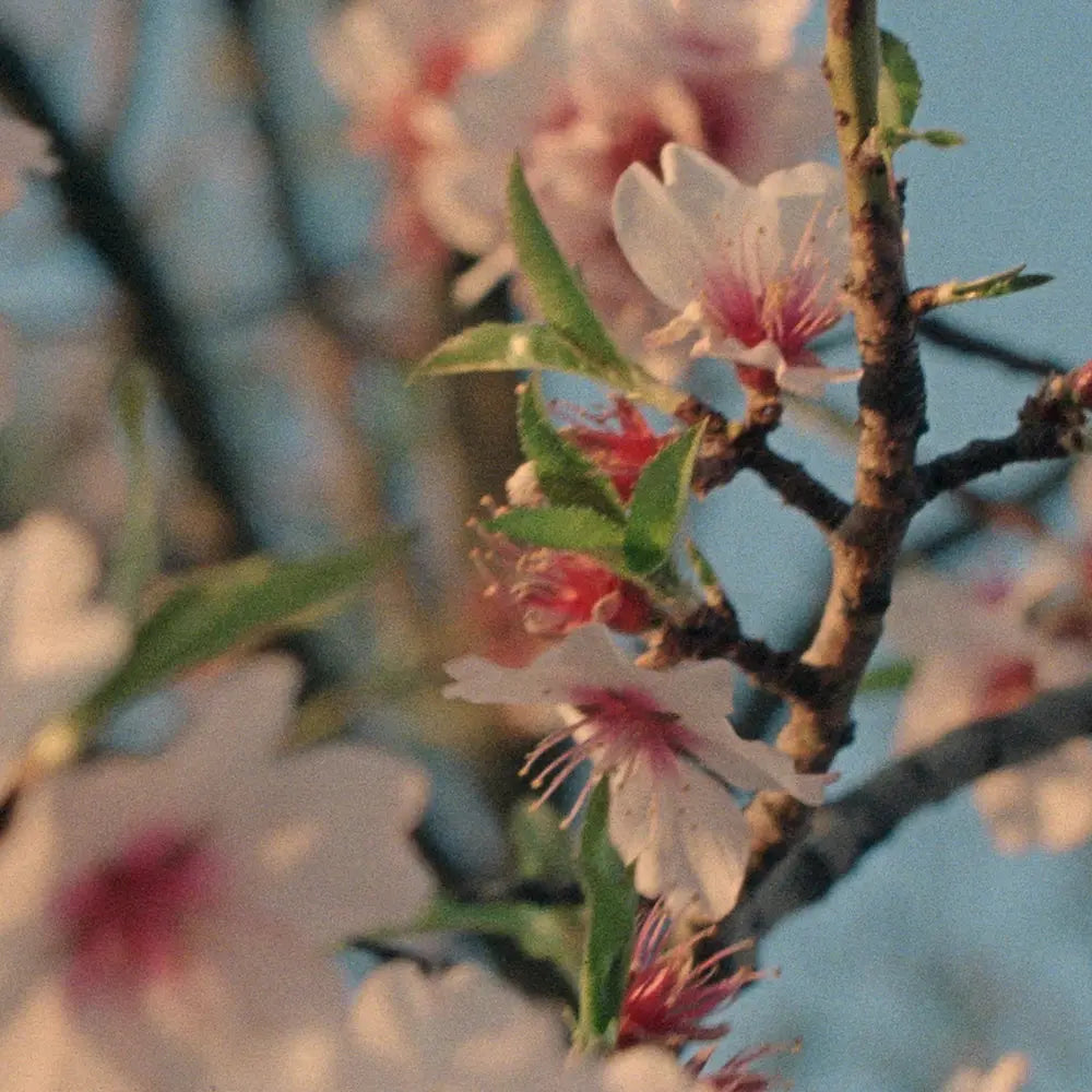 Nyomonkövethetőség