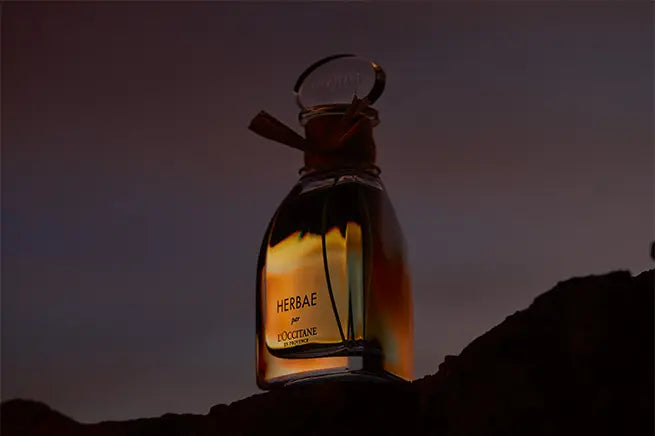 Provence vad füveinek közepette