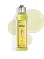 Citrus Verbéna frissítő sampon